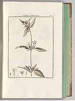  no thumbnail available