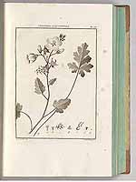  no thumbnail available