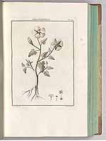  no thumbnail available