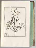  no thumbnail available