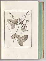  no thumbnail available