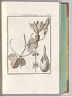  no thumbnail available