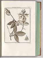  no thumbnail available