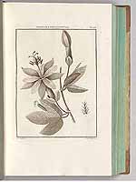  no thumbnail available