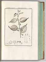  no thumbnail available