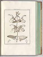  no thumbnail available