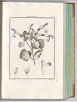  no thumbnail available