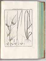  no thumbnail available