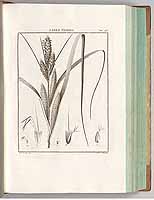  no thumbnail available