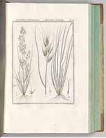  no thumbnail available