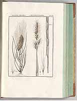  no thumbnail available