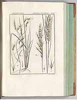  no thumbnail available