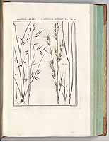  no thumbnail available