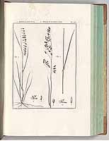  no thumbnail available