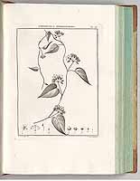  no thumbnail available