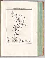  no thumbnail available