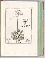  no thumbnail available