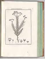  no thumbnail available