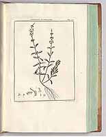  no thumbnail available