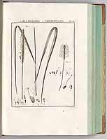  no thumbnail available