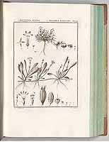  no thumbnail available