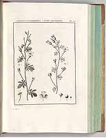  no thumbnail available