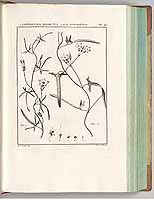  no thumbnail available