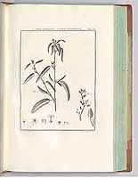  no thumbnail available