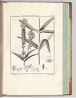  no thumbnail available