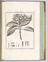  no thumbnail available