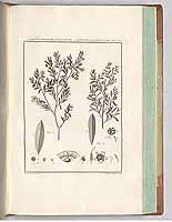  no thumbnail available