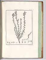  no thumbnail available