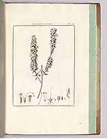  no thumbnail available