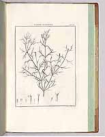  no thumbnail available