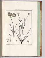  no thumbnail available