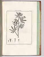  no thumbnail available