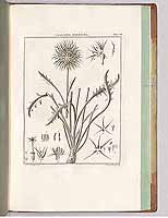  no thumbnail available