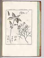  no thumbnail available