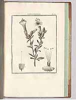  no thumbnail available