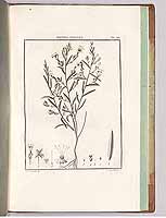  no thumbnail available