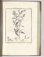  no thumbnail available