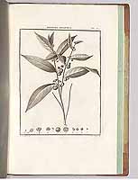  no thumbnail available