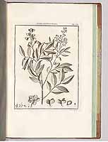  no thumbnail available