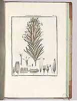  no thumbnail available