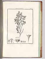  no thumbnail available