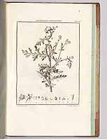  no thumbnail available