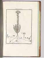  no thumbnail available