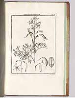  no thumbnail available