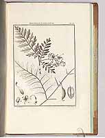  no thumbnail available