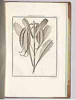  no thumbnail available